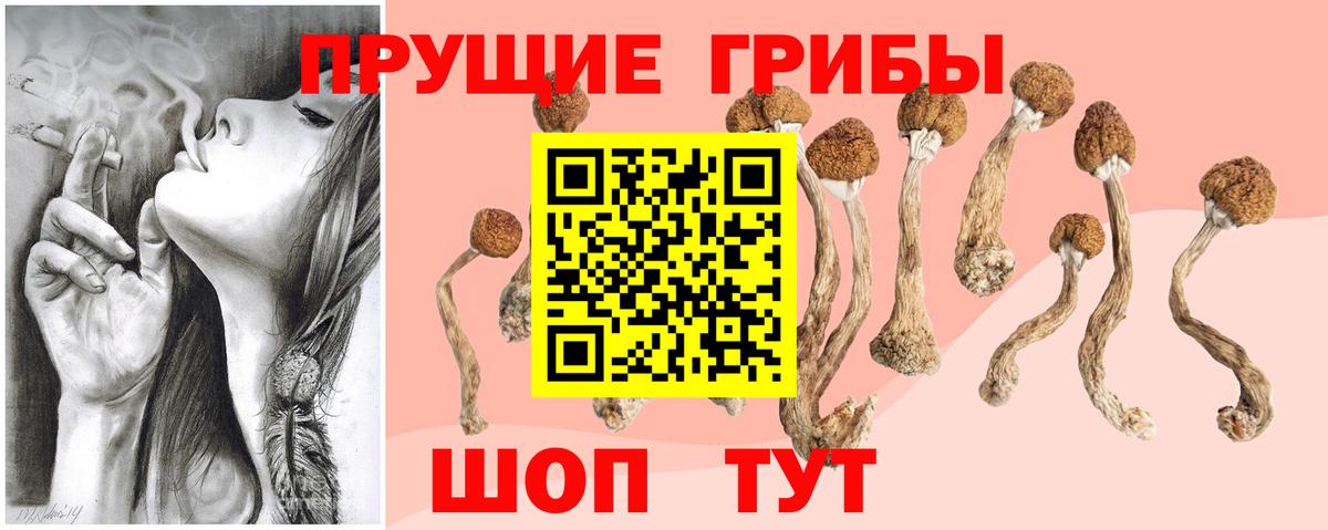 Галлюциногенные грибы GOLDEN TEACHER Вологда
